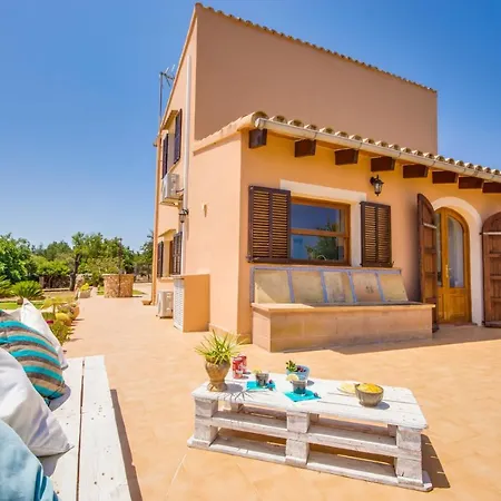 Ideal Mallorca - Frit