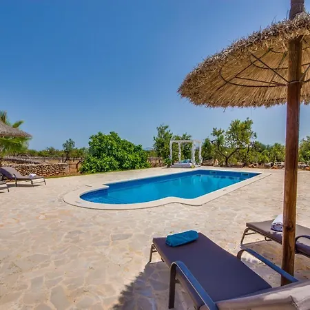 Ideal Mallorca - Frit